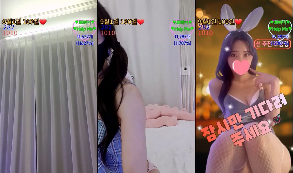 BJ올리브-olive486-20230429