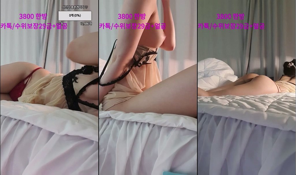 BJ서진이-sweet486-20231205