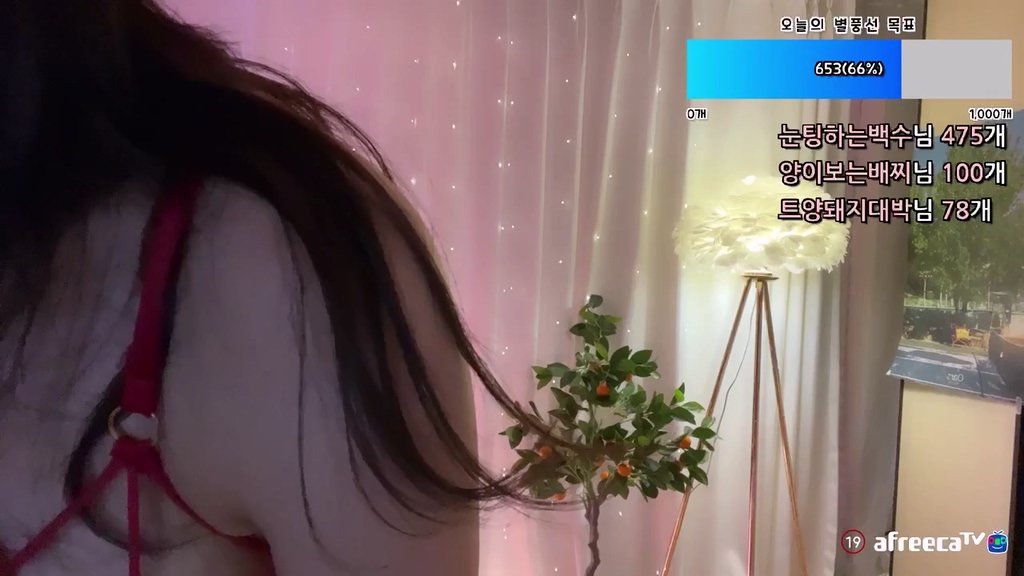 BJ민트양이-q6q5wk1c-20240510